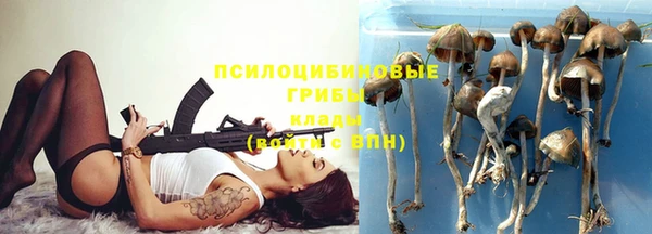 прущая мука Богородск