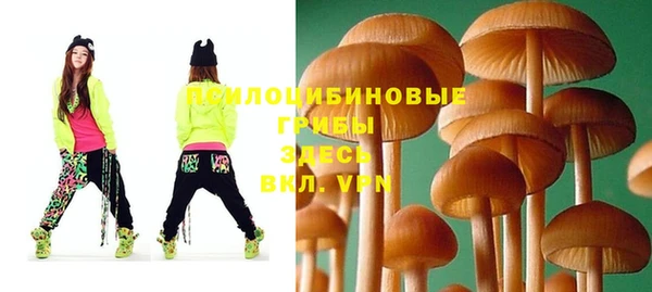 круглые Бородино