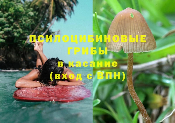 таблы Богородицк