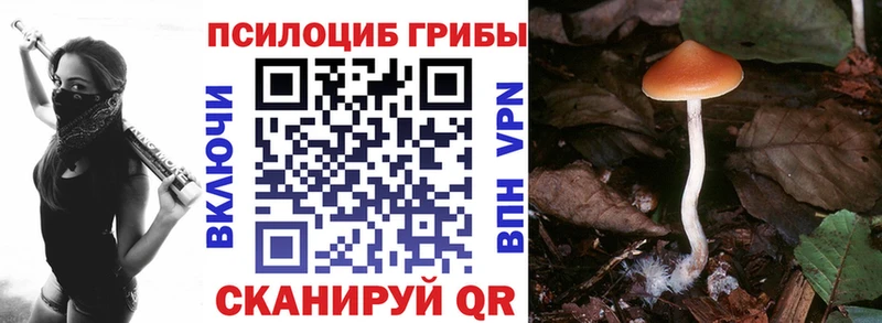 Псилоцибиновые грибы мицелий Мышкин