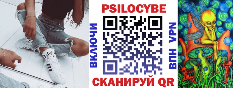 Купить  Мышкин  Галлюциногенные грибы Cubensis 